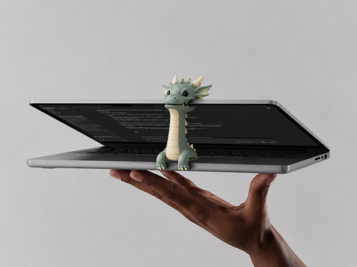 Lidhero character holding a laptop open